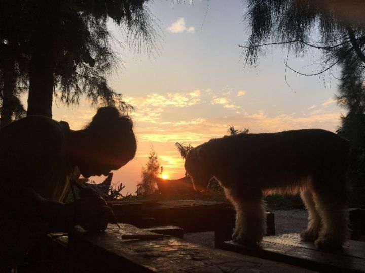 慢點(diǎn)藝術(shù)民宿，世間所有努力都是為了慢點(diǎn)