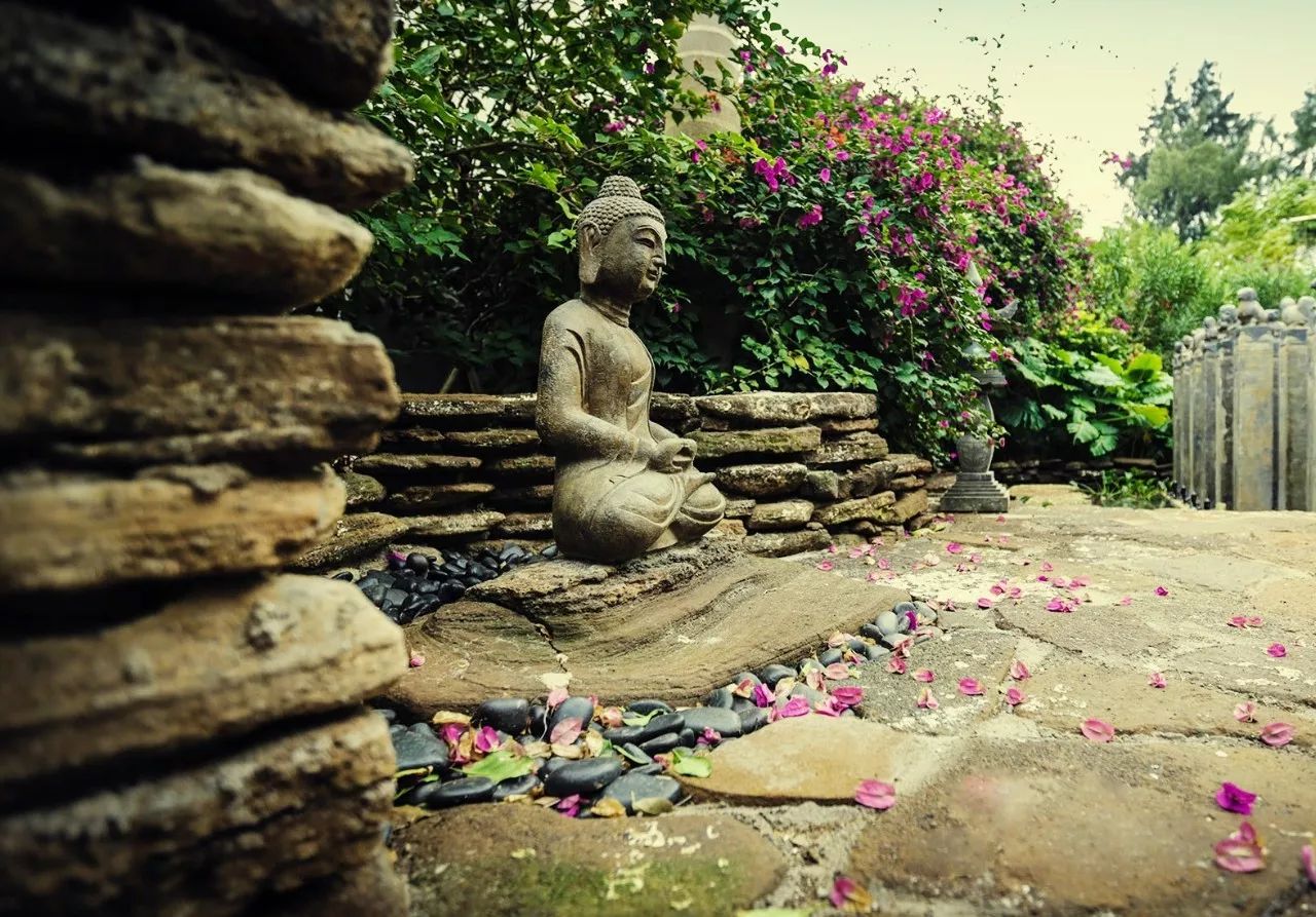 慢點(diǎn)藝術(shù)民宿，世間所有努力都是為了慢點(diǎn)