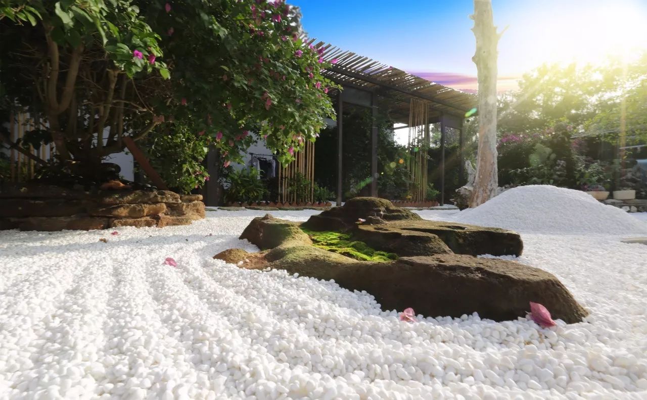 慢點藝術(shù)民宿，世間所有努力都是為了慢點