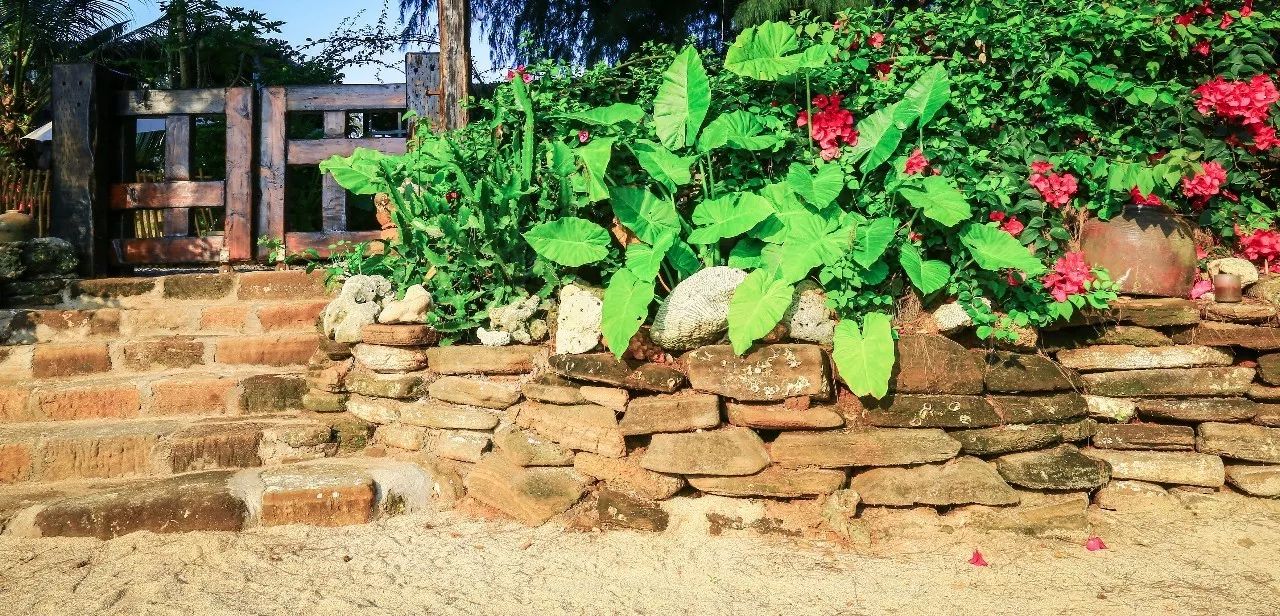 慢點(diǎn)藝術(shù)民宿，世間所有努力都是為了慢點(diǎn)