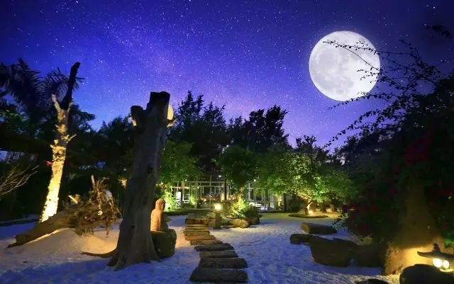 慢點藝術(shù)民宿，世間所有努力都是為了慢點