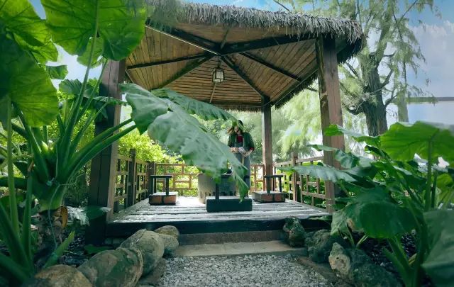 慢點(diǎn)藝術(shù)民宿，世間所有努力都是為了慢點(diǎn)