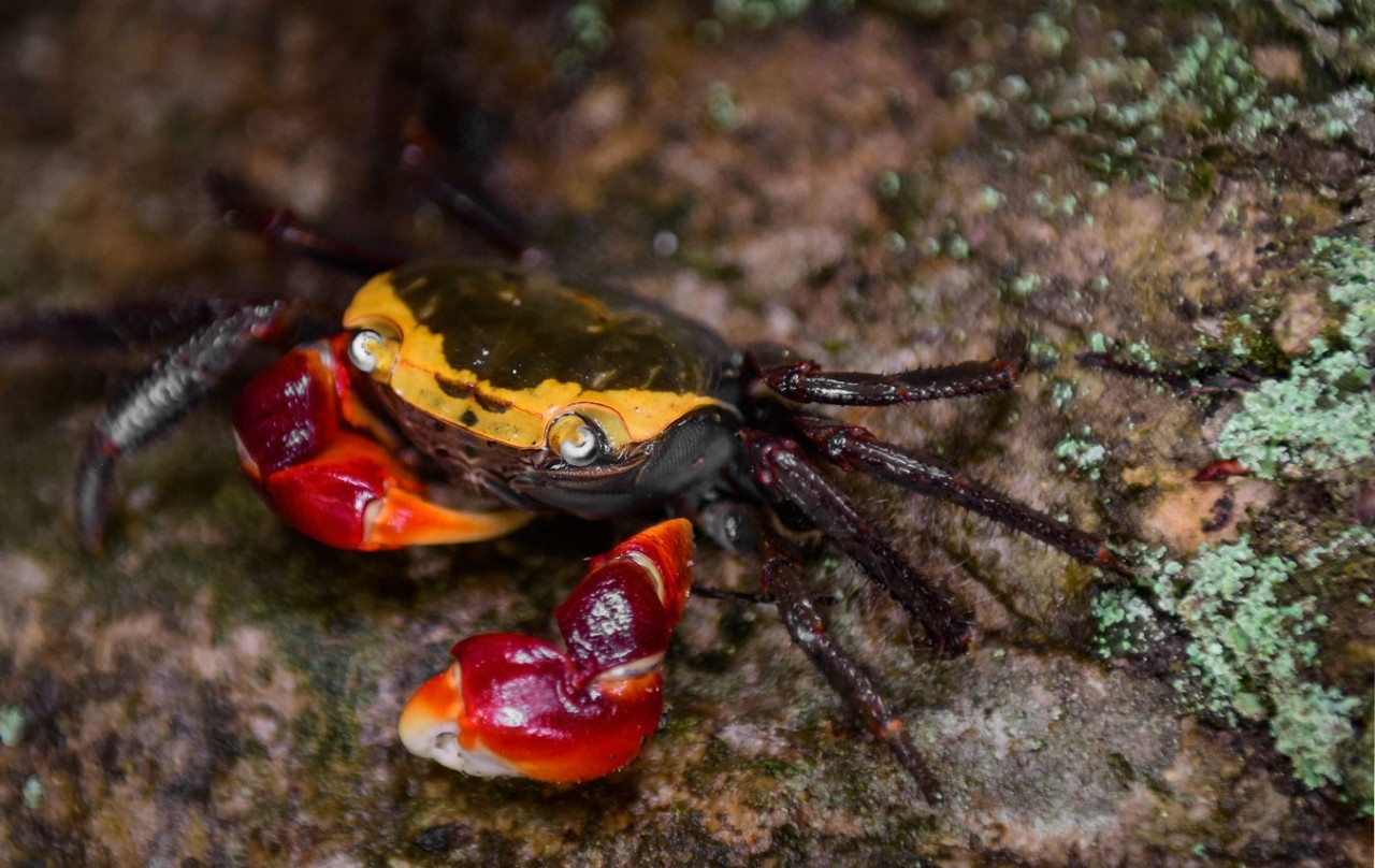 寧波·走點(diǎn)灣路，人生總需要走點(diǎn)彎路才能柳暗花