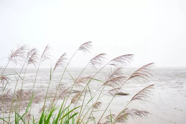 寧波·走點(diǎn)灣路，人生總需要走點(diǎn)彎路才能柳暗花