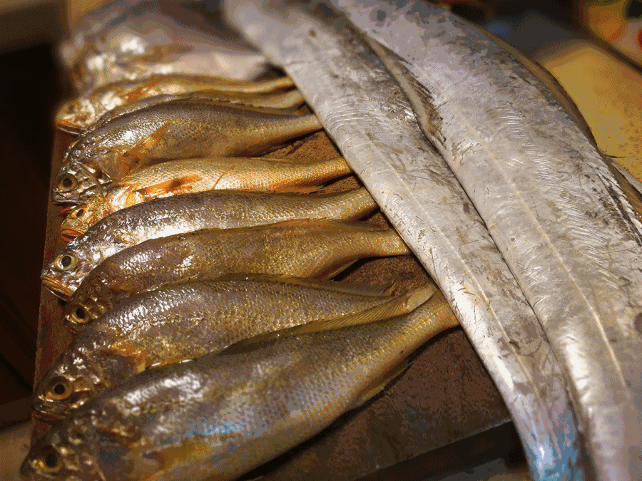 寧波·走點灣路，人生總需要走點彎路才能柳暗花
