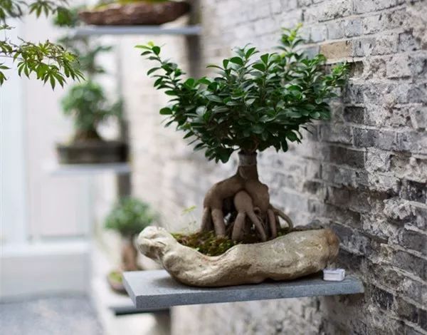 上海·錦上云宿，傳播傳統(tǒng)文化讓老宅重獲新靈魂