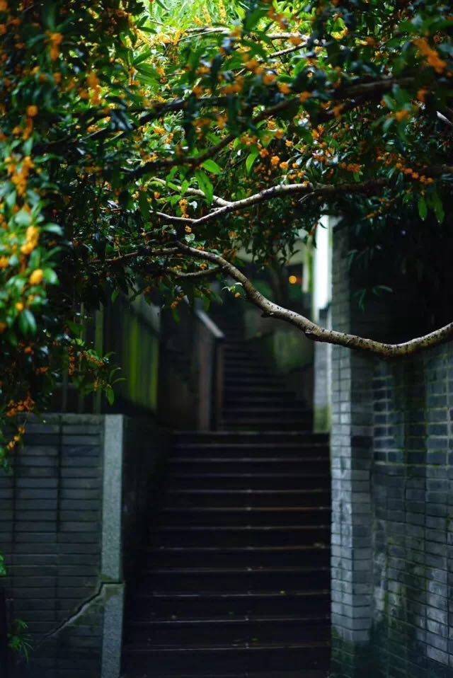 杭州·棲遲，還是那個獨一無二的黑白灰