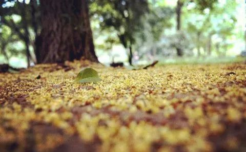 杭州·棲遲，還是那個獨一無二的黑白灰
