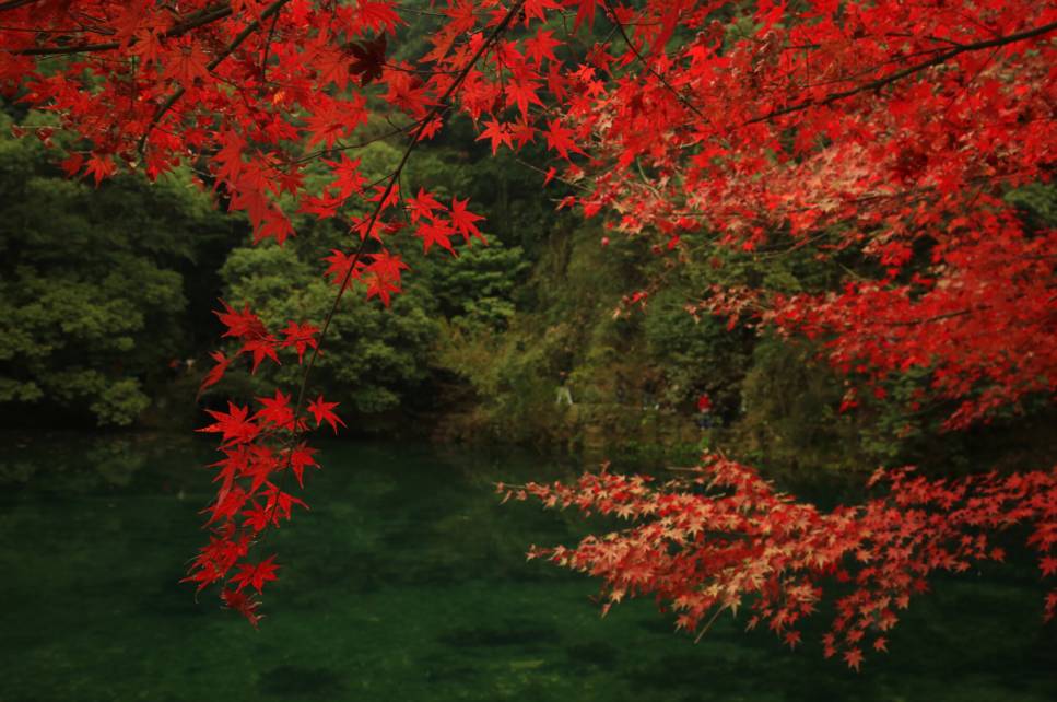 杭州·棲遲，還是那個獨一無二的黑白灰