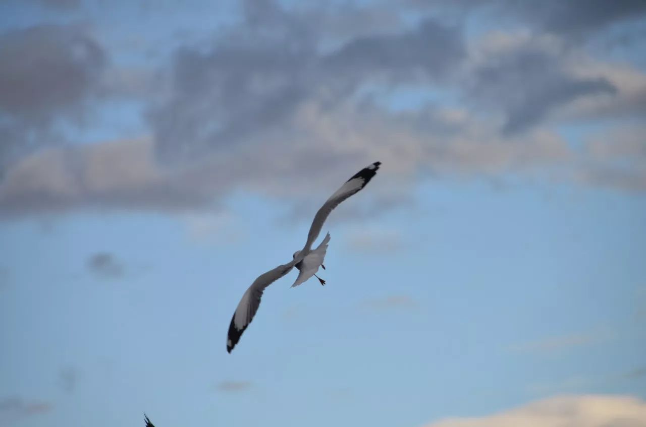 瀘沽湖·野火集，時(shí)光匆忙別錯(cuò)過(guò)年輕的瘋狂