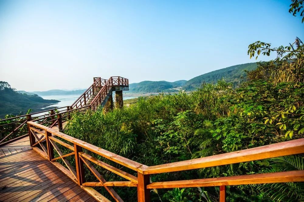 時光島，一間讓“時光倒流”300畝獨島民宿