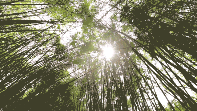 時光島，一間讓“時光倒流”300畝獨島民宿