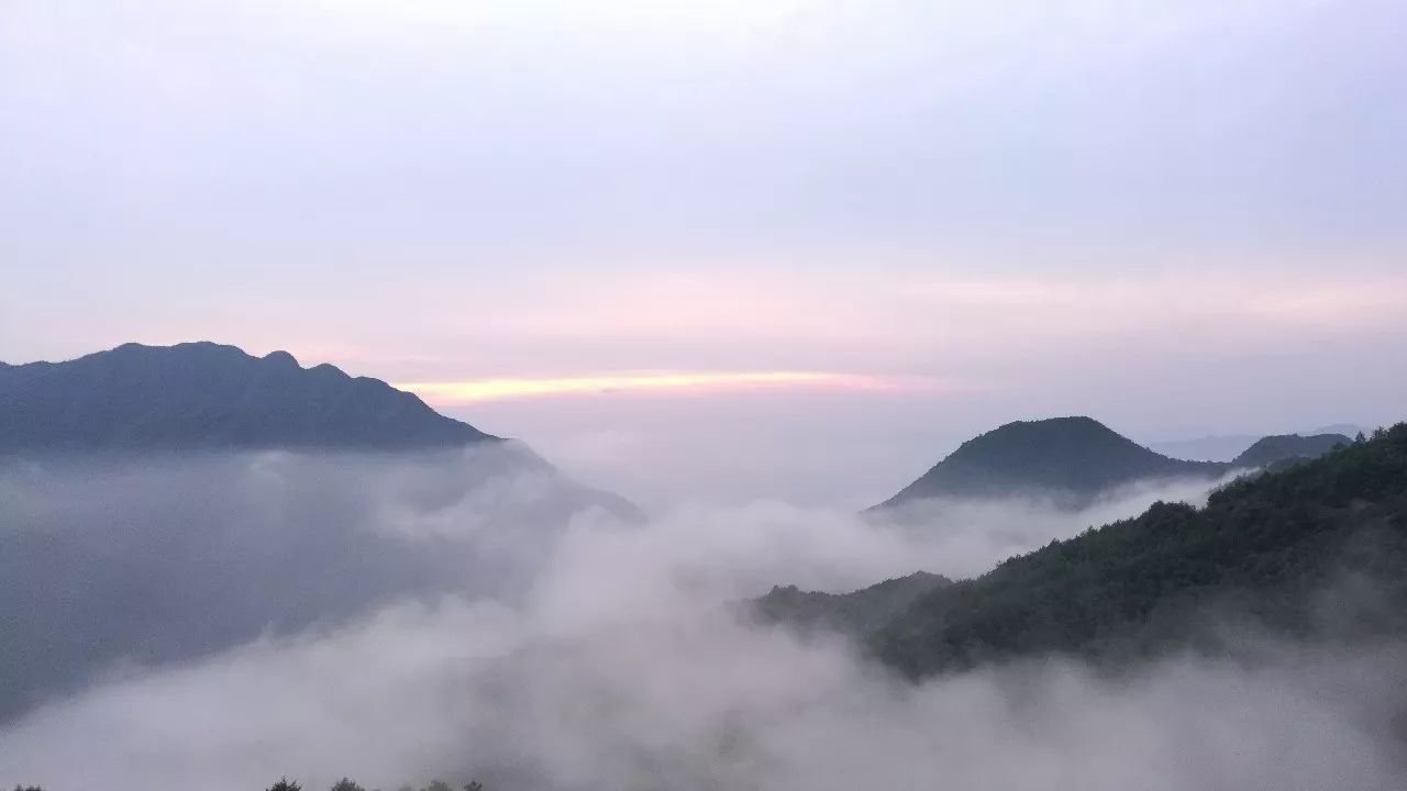 麗水·云逸遠山，在牡丹亭有個仲夏夜之夢