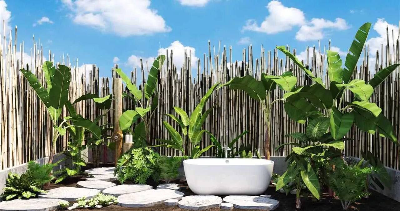 麗水·云逸遠山，在牡丹亭有個仲夏夜之夢