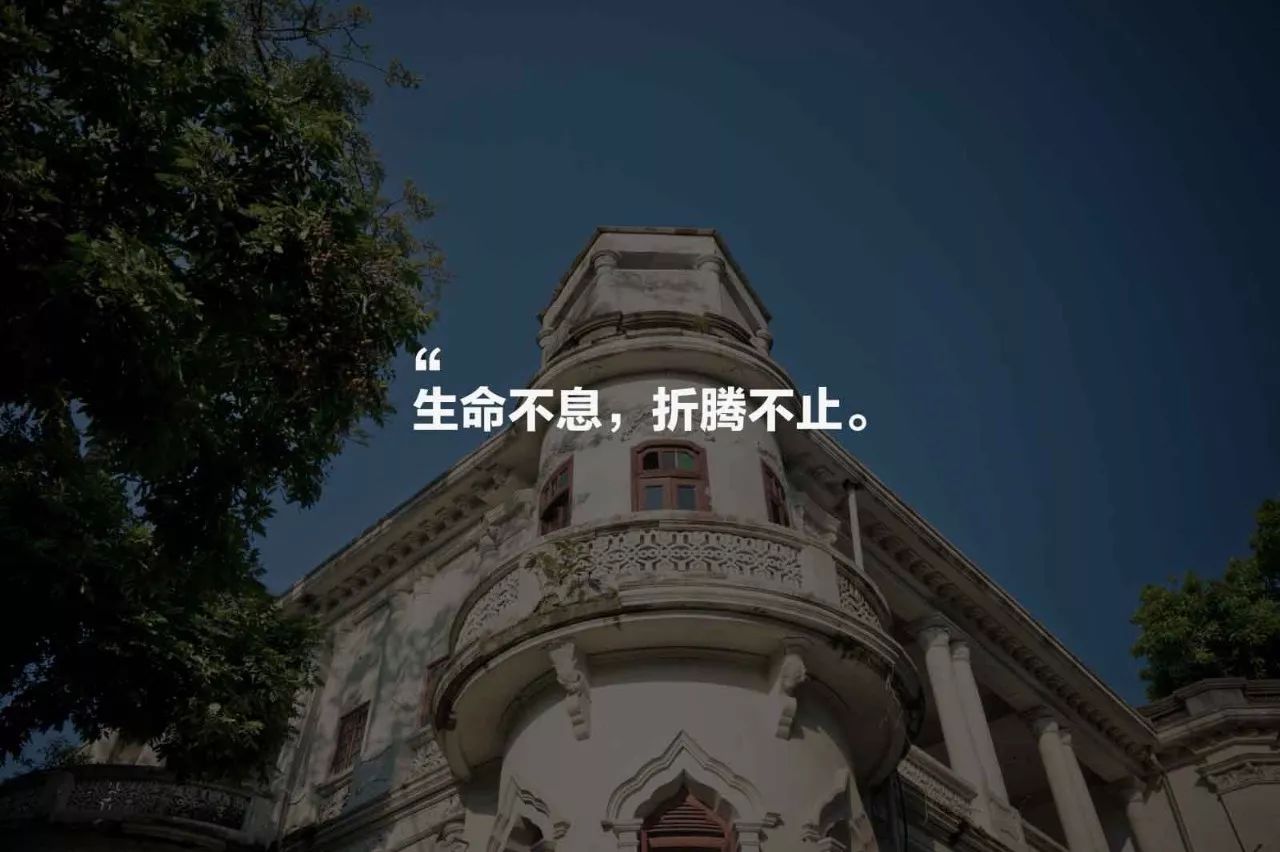 鼓浪嶼·他城一見(jiàn)，生命不息折騰不止