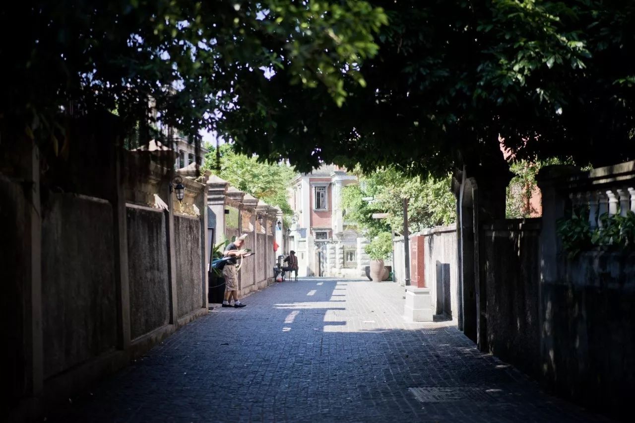 鼓浪嶼·他城一見(jiàn)，生命不息折騰不止