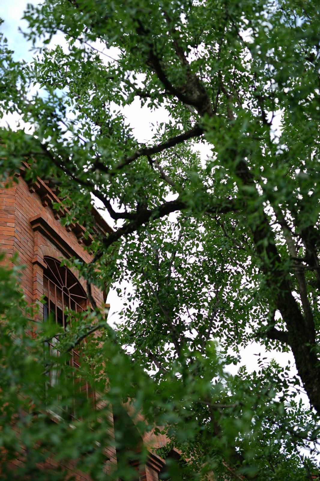 鼓浪嶼·他城一見，生命不息折騰不止