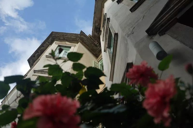 鼓浪嶼·他城一見，生命不息折騰不止