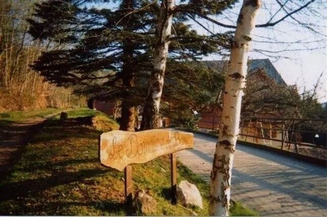 驚呆了，雞窩豬舍馬廄牛棚羊圈變民宿!