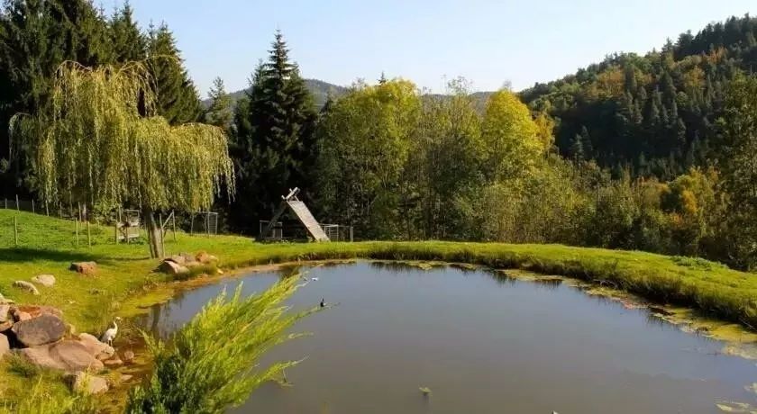 驚呆了，雞窩豬舍馬廄牛棚羊圈變民宿!