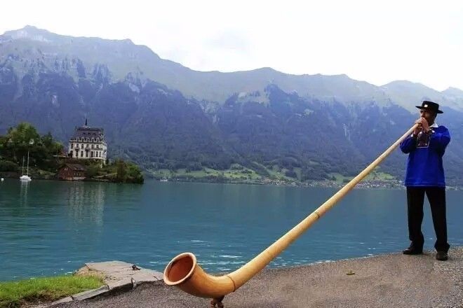 驚呆了，雞窩豬舍馬廄牛棚羊圈變民宿!