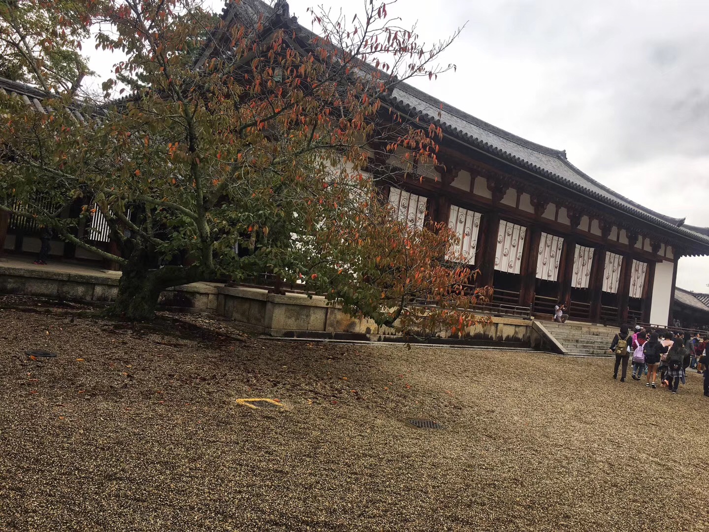 奈良·法隆寺，唐昭提寺佛教圖片