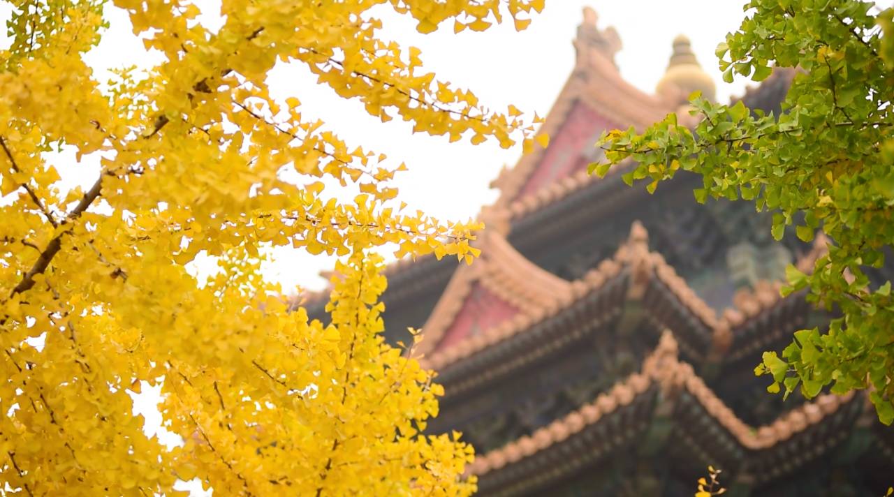 王室故居，坐擁古老神秘的王府豪宅看明清興衰