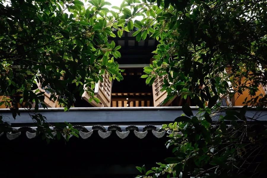 青山周平有熊公寓，一種部落式的共享生活