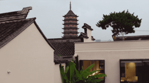 青山周平有熊公寓，一種部落式的共享生活