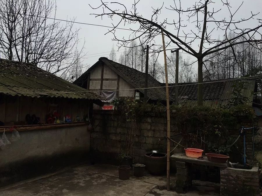 青城山·路之青城，山溝里的豬圈民宿