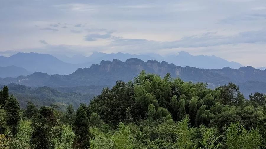 青城山·路之青城，山溝里的豬圈民宿
