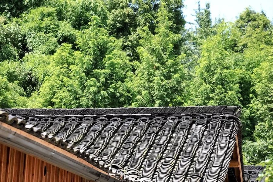 青城山·路之青城，山溝里的豬圈民宿