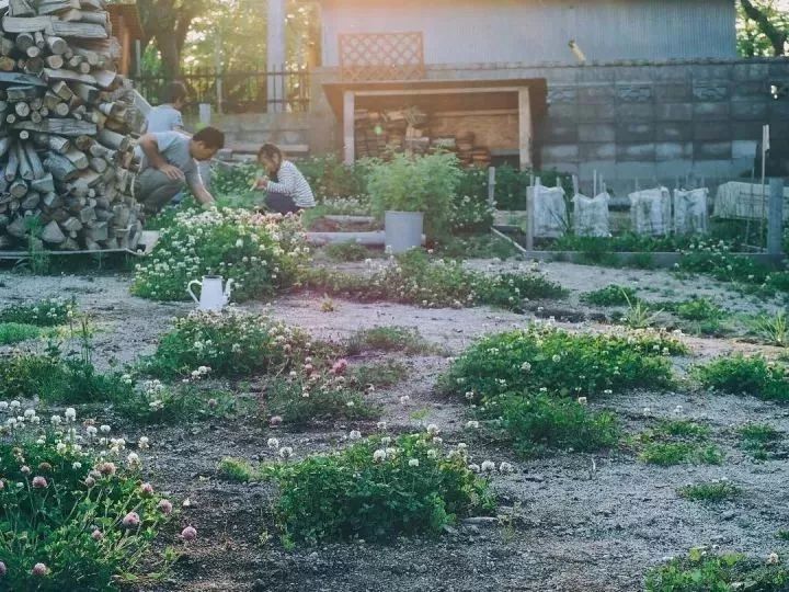 北海道的海濱小鎮(zhèn)，一家四口的日子才最幸福