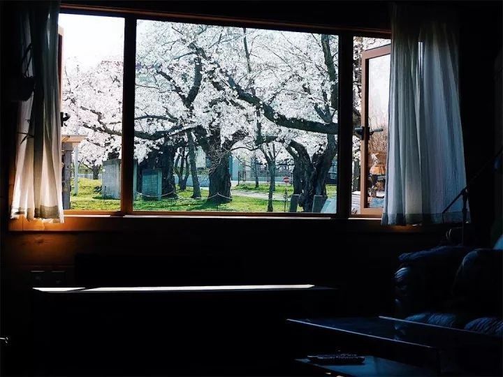 北海道的海濱小鎮(zhèn)，一家四口的日子才最幸福