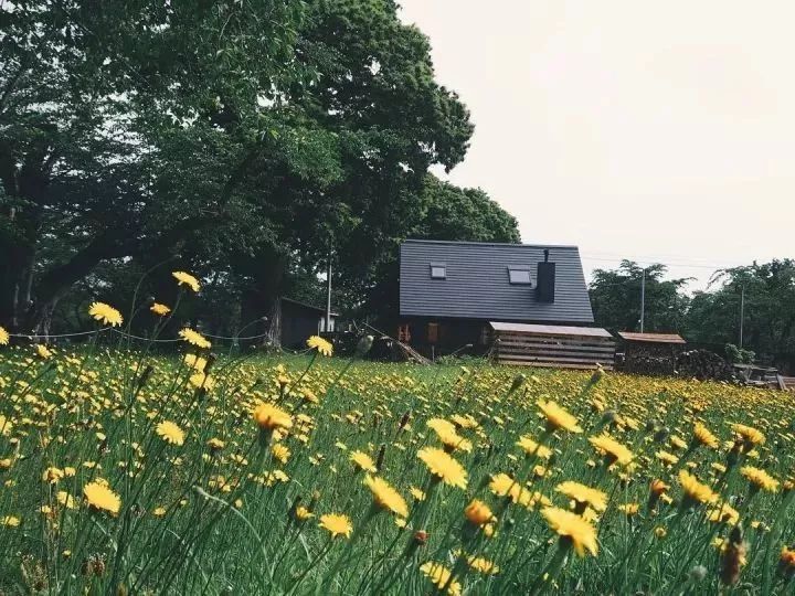 北海道的海濱小鎮(zhèn)，一家四口的日子才最幸福