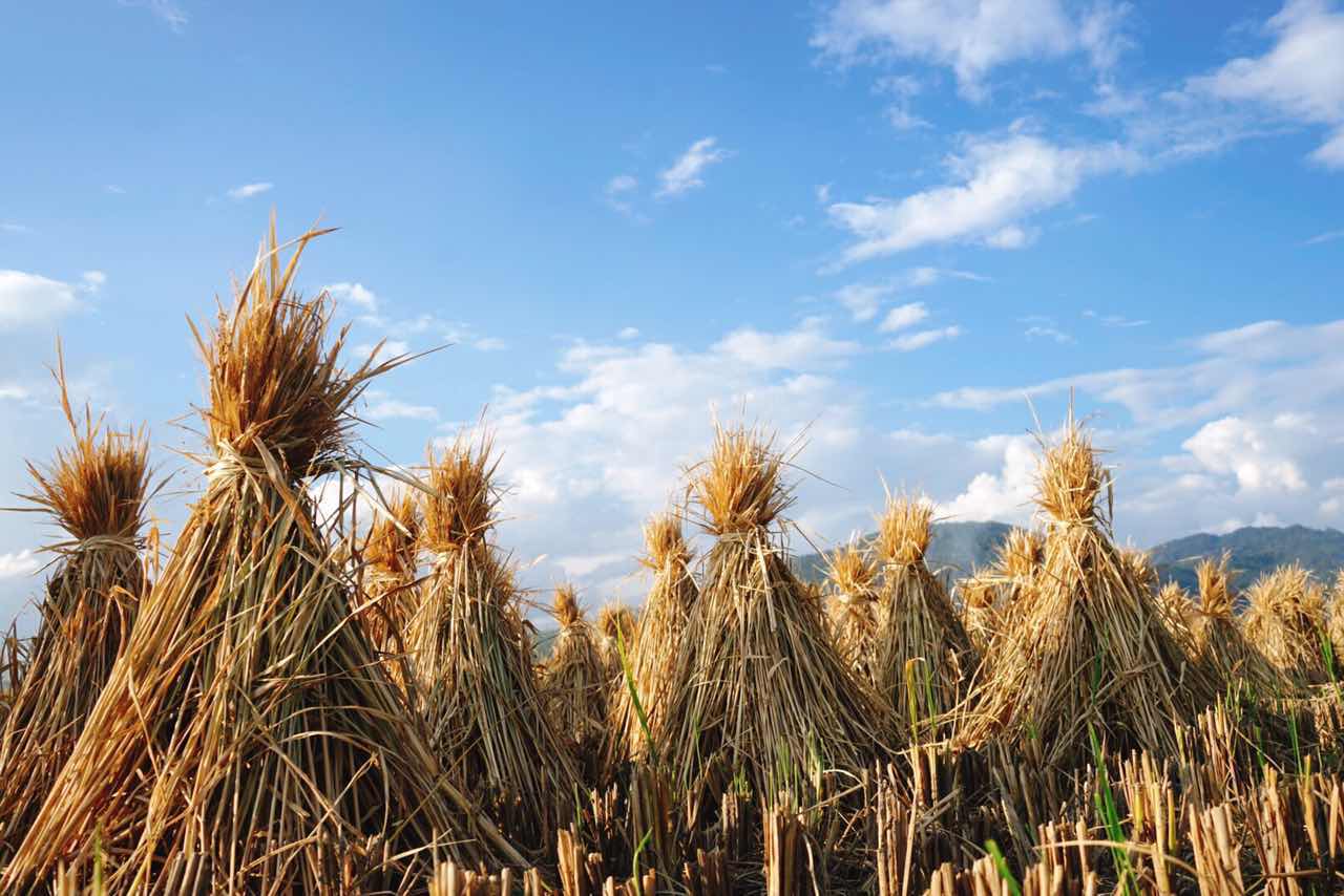 漫宿·見山，在古鎮(zhèn)享受寧靜而恬淡的時光