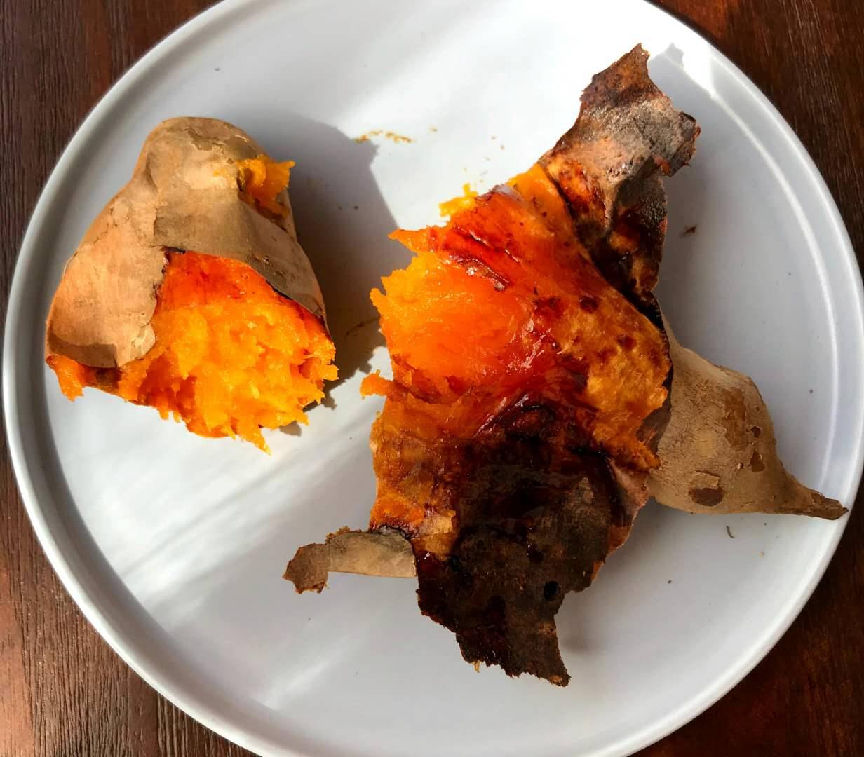 莫干山·趣舍一棵樹，置身山中與山林萬物相連