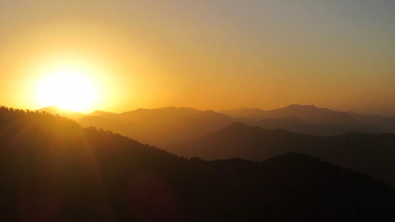 莫干山·趣舍一棵樹，置身山中與山林萬物相連