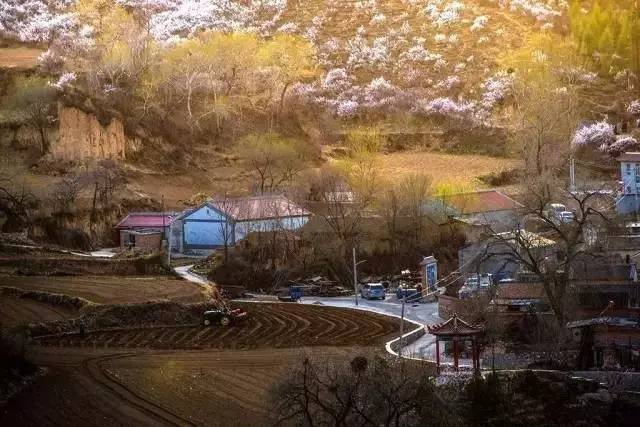 北京·山楂小院，留住最土的鄉(xiāng)味和溫暖的人心