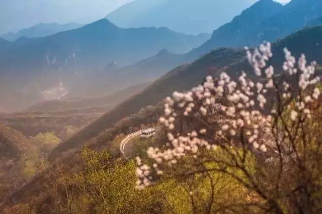 北京·山楂小院，留住最土的鄉(xiāng)味和溫暖的人心