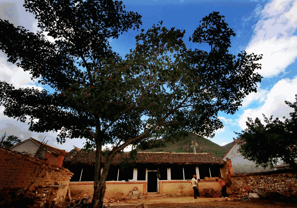 北京·山楂小院，留住最土的鄉(xiāng)味和溫暖的人心