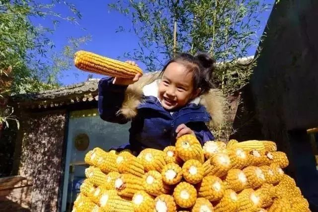 北京·山楂小院，留住最土的鄉(xiāng)味和溫暖的人心