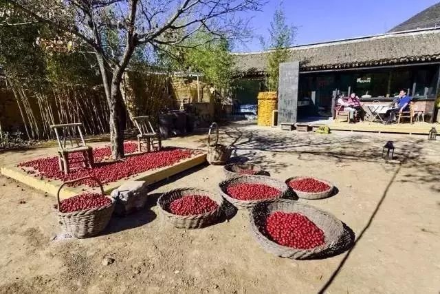 北京·山楂小院，留住最土的鄉(xiāng)味和溫暖的人心