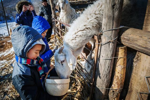 北京·山楂小院，留住最土的鄉(xiāng)味和溫暖的人心