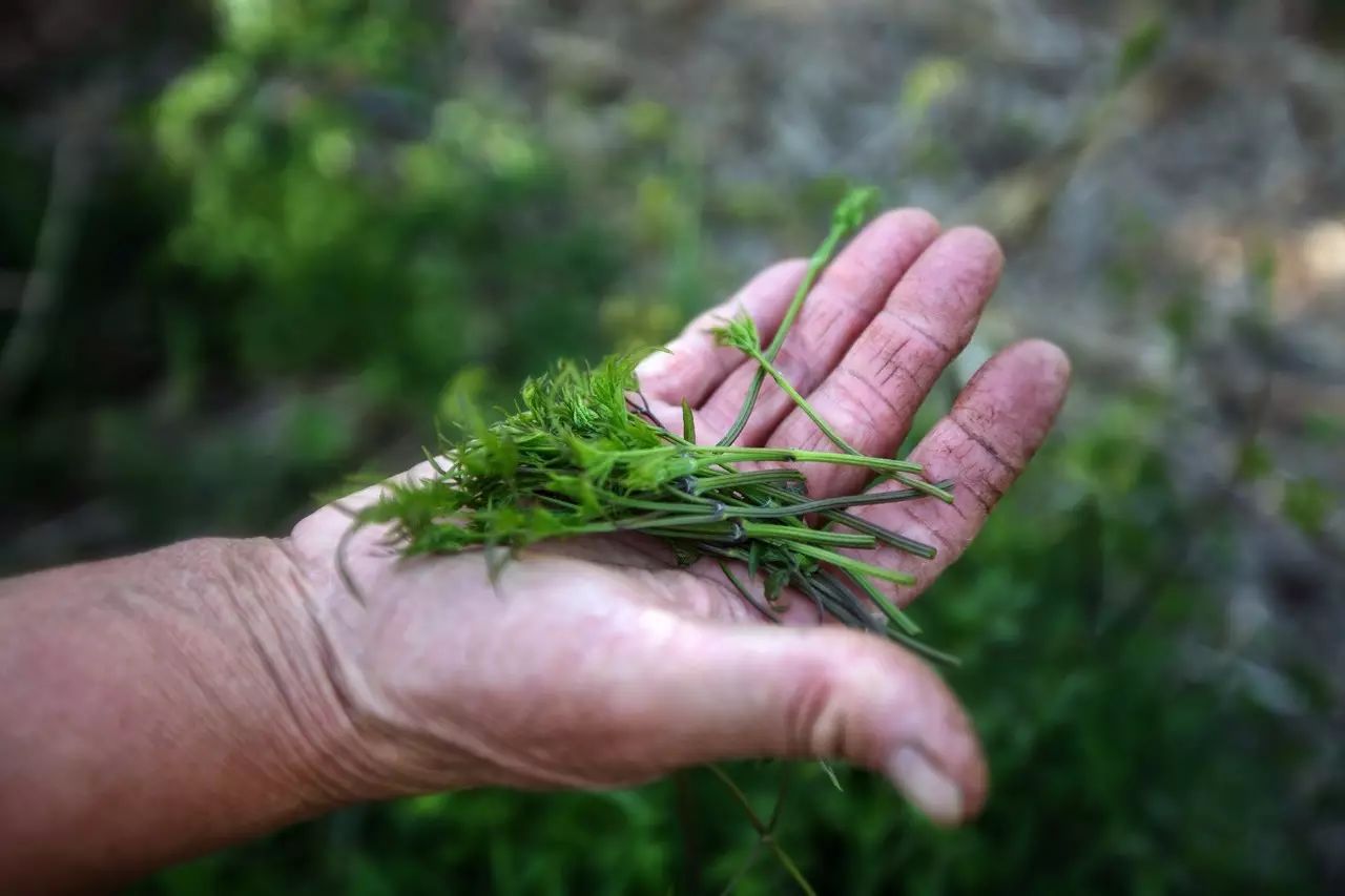 北京·山楂小院，留住最土的鄉(xiāng)味和溫暖的人心