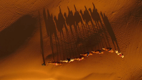 黃河·宿集，你想要的快意江湖就在這里