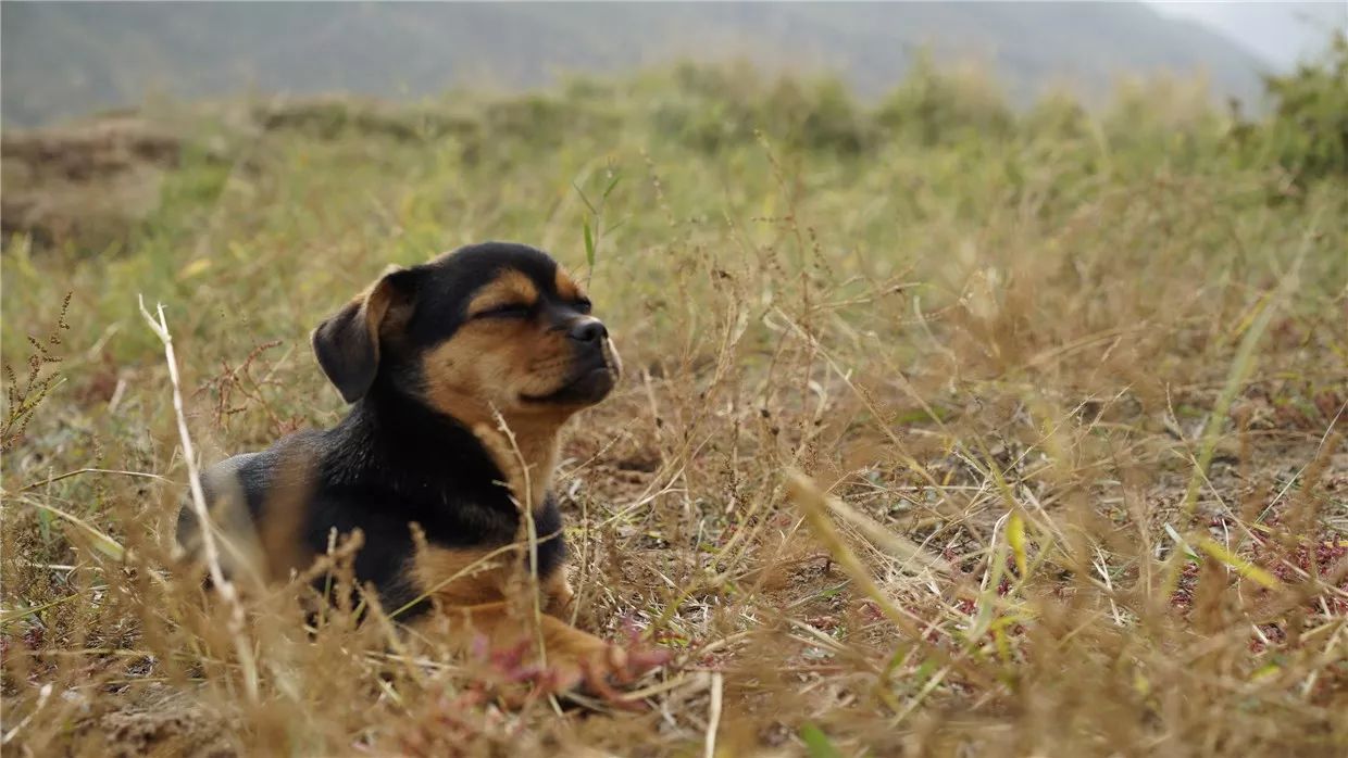 黃河·宿集，你想要的快意江湖就在這里