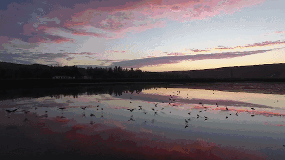 黃河·宿集，你想要的快意江湖就在這里