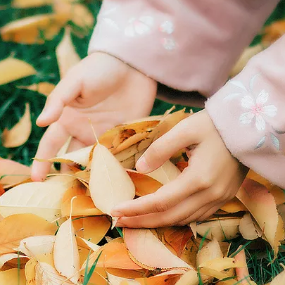 落葉飄粉衣女生頭像，唯美古風真人頭像