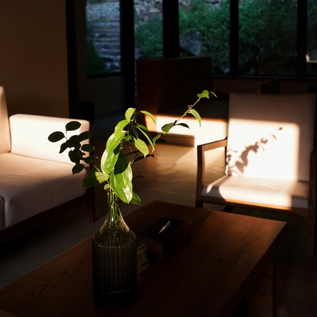 莫干山·三秋美宿，一日不見三秋盼兮